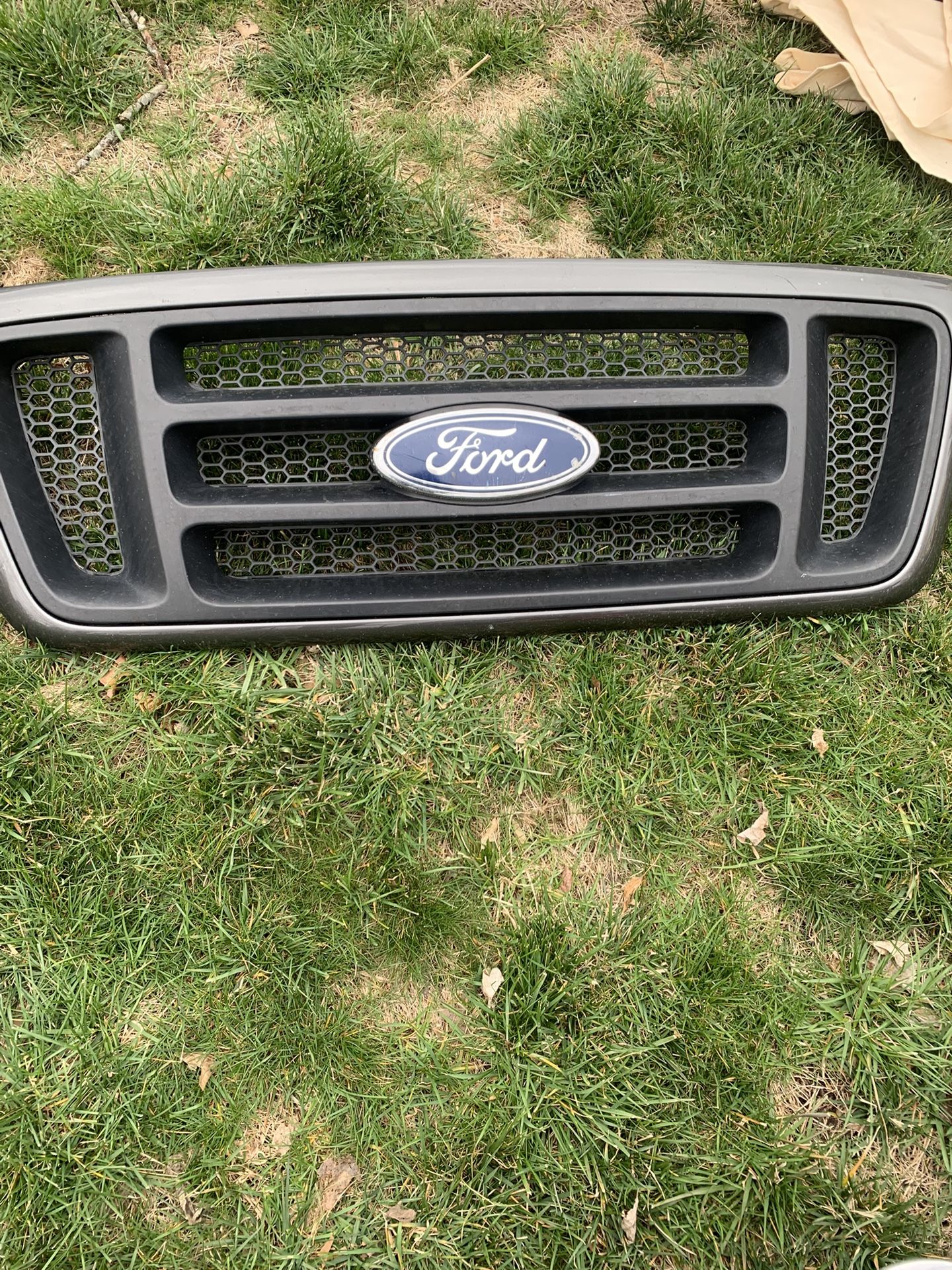2004-2008 Ford F-150 Front Grille 4L34-8200-CZW OEM