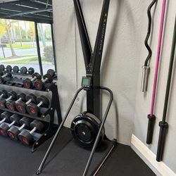 Concept 2 SkiErg W/ Stand 