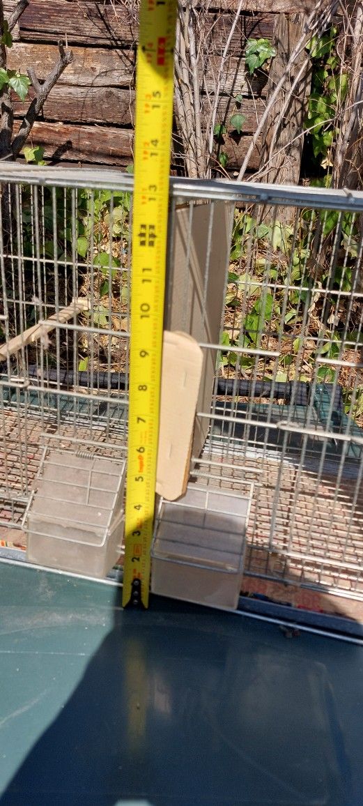 BIRD 🐦 CAGE