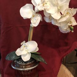 Decoration 