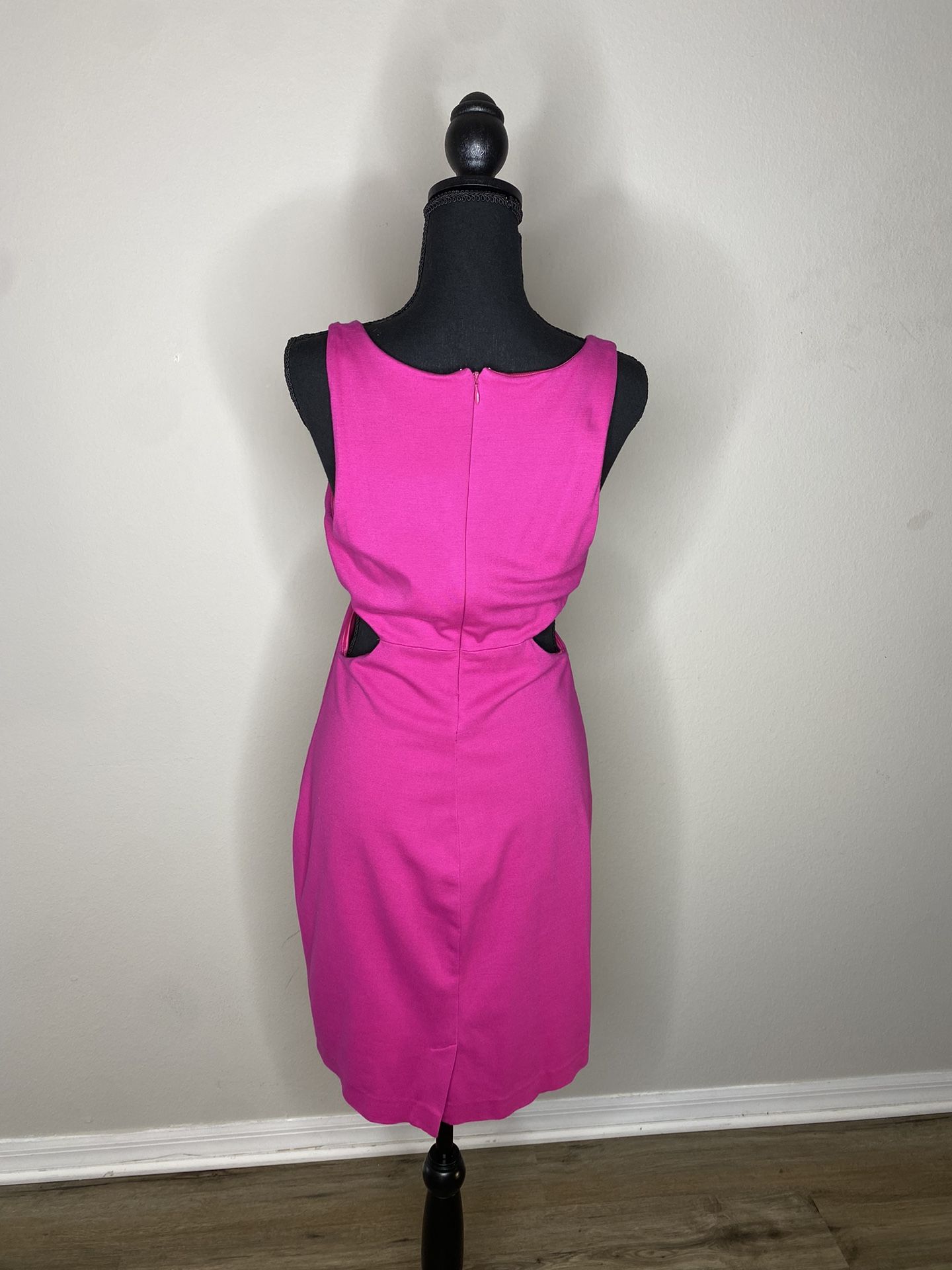 Express Hot Pink Dress Size 10