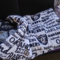 Twin Size For Bed It Has Two Sides For 20.00 Vary Nice