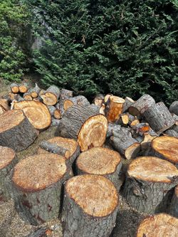 Firewood - hemlock