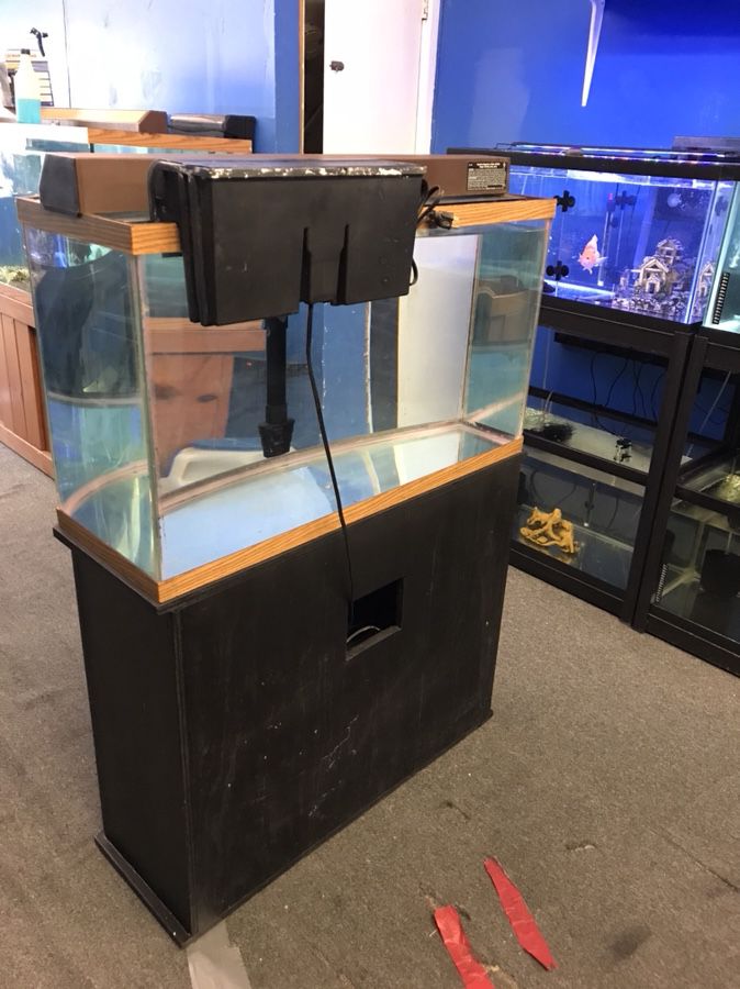 HUGE 450 gallon bow front fish tank: 10 feet long for Sale in Hollywood, FL  - OfferUp