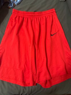 Men’s Nike shorts 2x