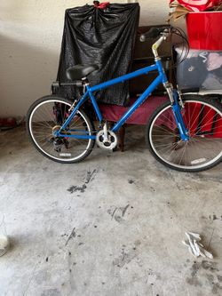 Nishiki Blue Mountain Bike