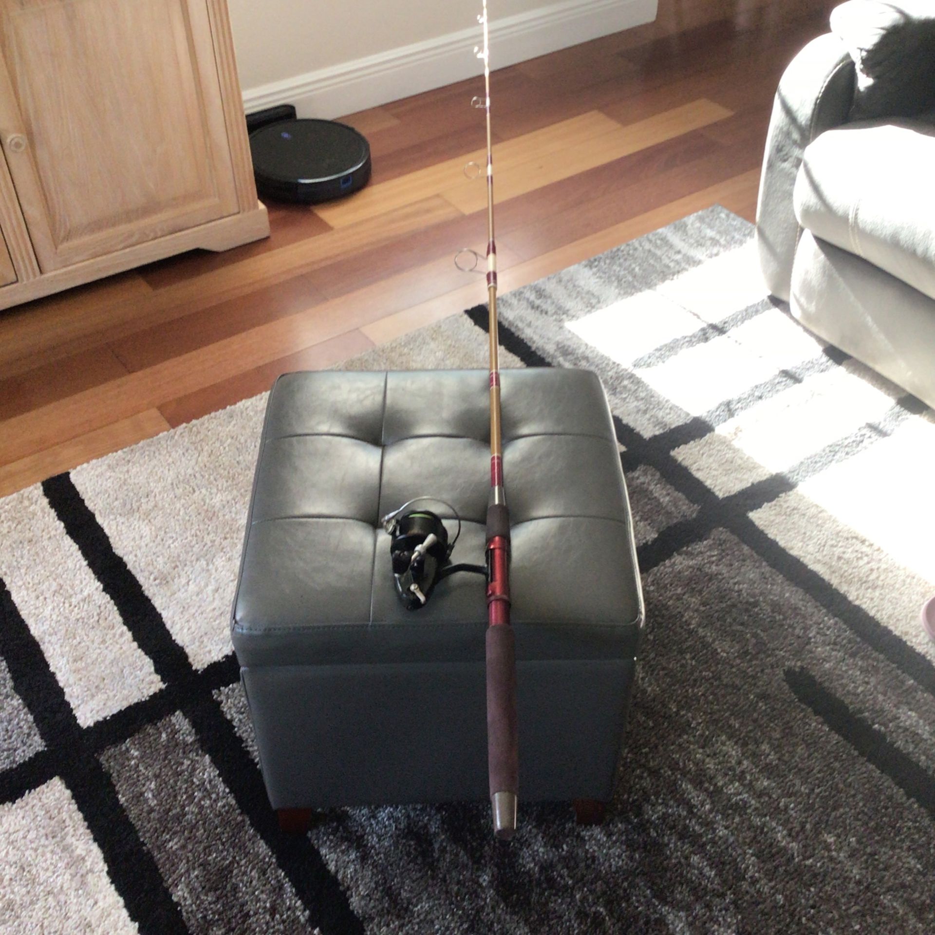 7 ft. Rod,and Mitchell 300 Spinning Reel
