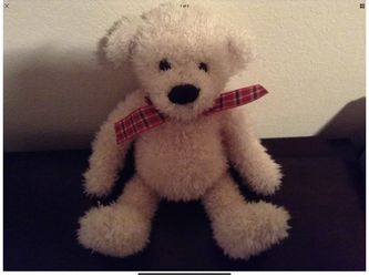 Original White Teddy Bear
