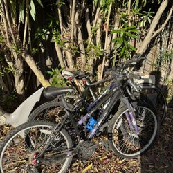 BIKES $20 Each 