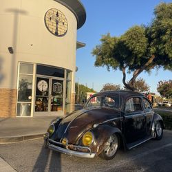 1960 Vw Bug