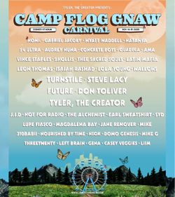 Campfloggnaw 1 wristband Super VIP