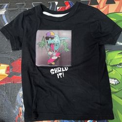 Boys 4t Dinosaur Shirt