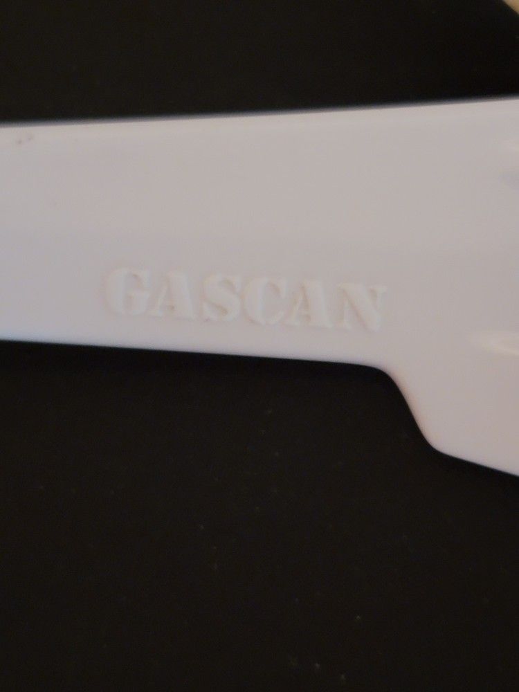 Oakley Gascan White Polorized
