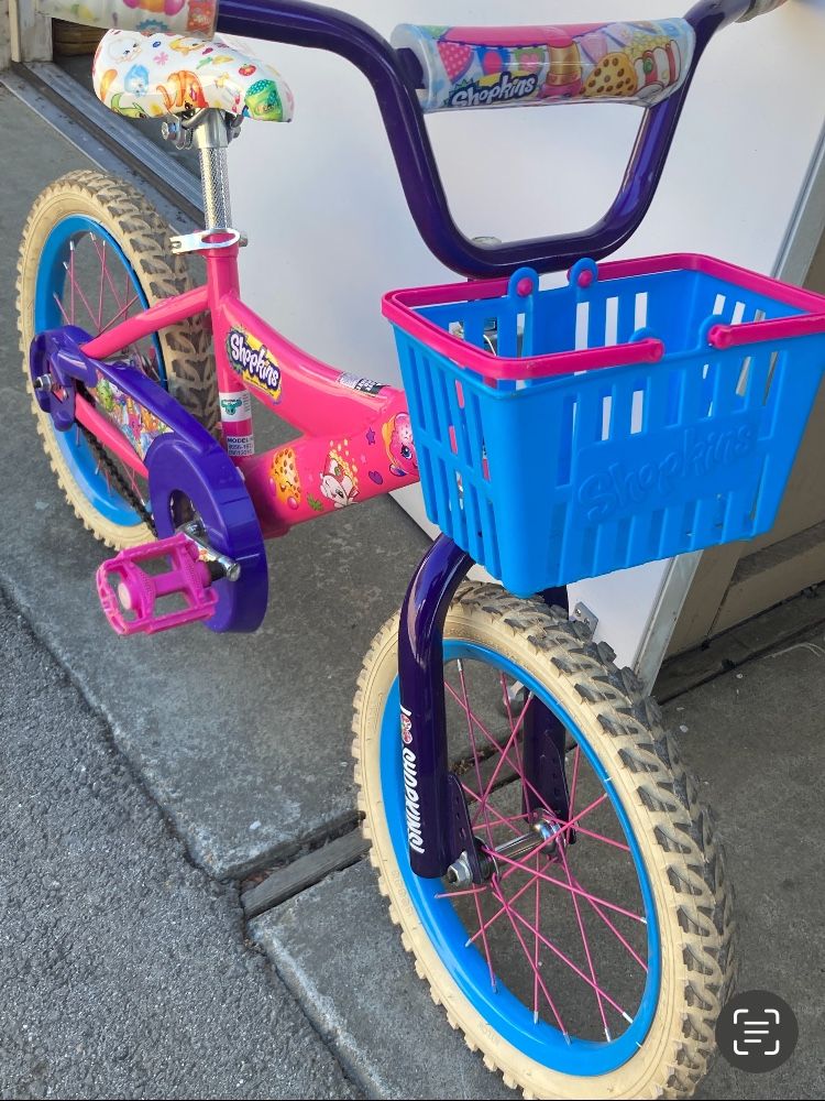 Girl’s Bicycle with Basket