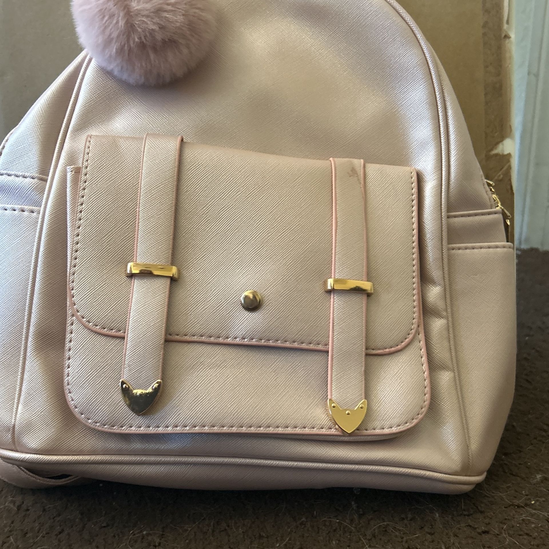 Coquette Pink Bag Comes With Purse
