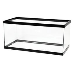 40 Gallon Fish Tank 