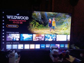 Vizio 50 inch