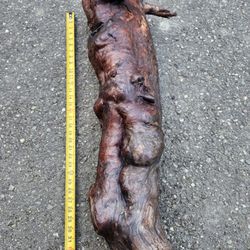 Wood Burl / Root  