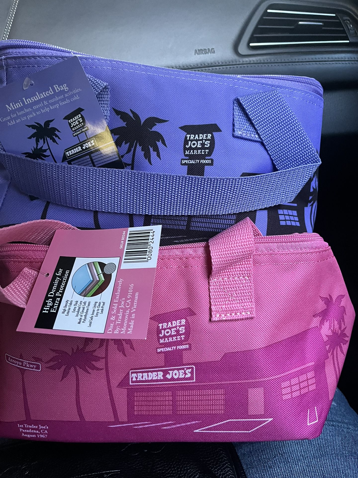 Trader Joes Mini Insulated Bag