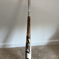 Baseball Bat 