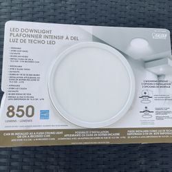 Flush Mount Ceiling Lead Light Fixture