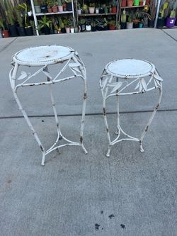 Plants stand set 20 Dlrs