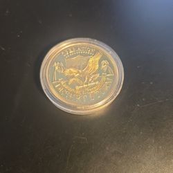 Desert Storm Coll Coin
