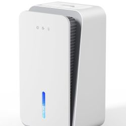 Dehumidifier for Home, 1000 sq.ft