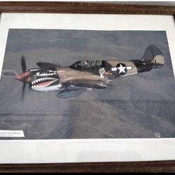 Curtis P-40N warhawk picture 21" * 17"