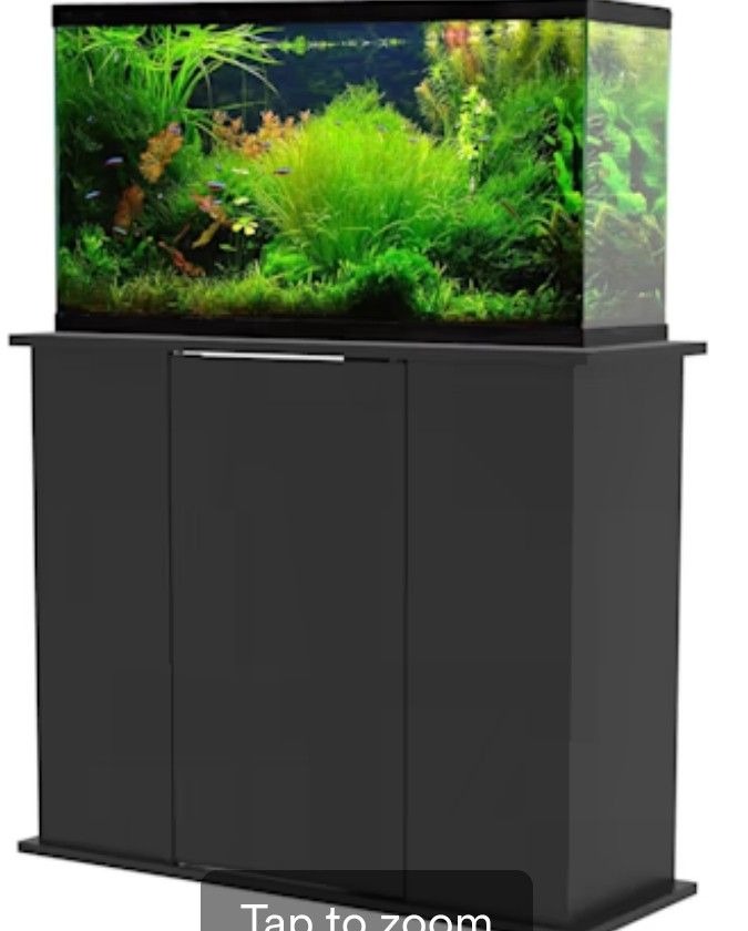 50gal Fish Tank