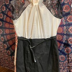 Bisou Bisou Beautiful Business Dress 
