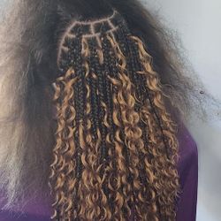 Bohemian Regular Braids 