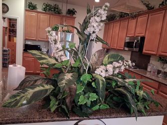 Two hot shelf flowers , very large , nice tall