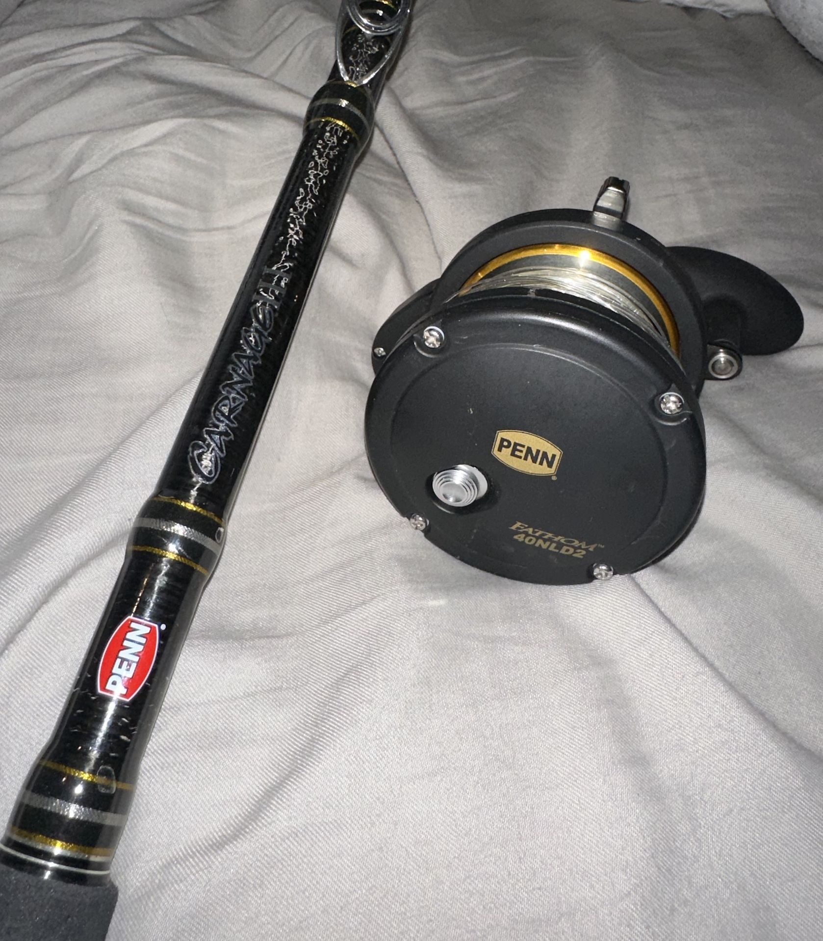 Fishing Pole And reel