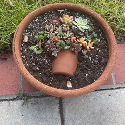 Custom Planted, Artistic Pot
