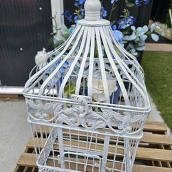 Bird Cage 