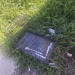 Medium Dog Cage