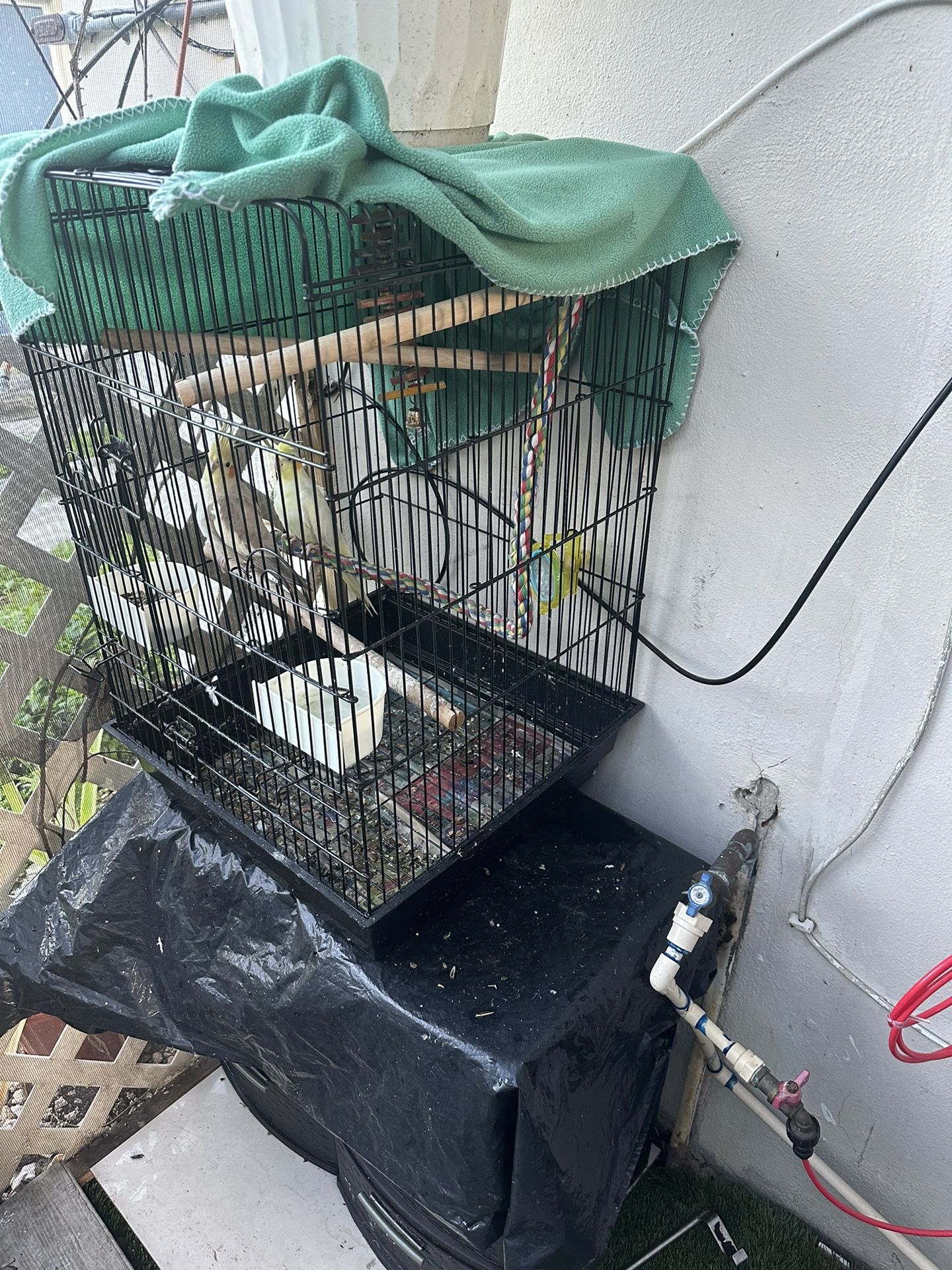 Bird Cage With Accessories And Toys