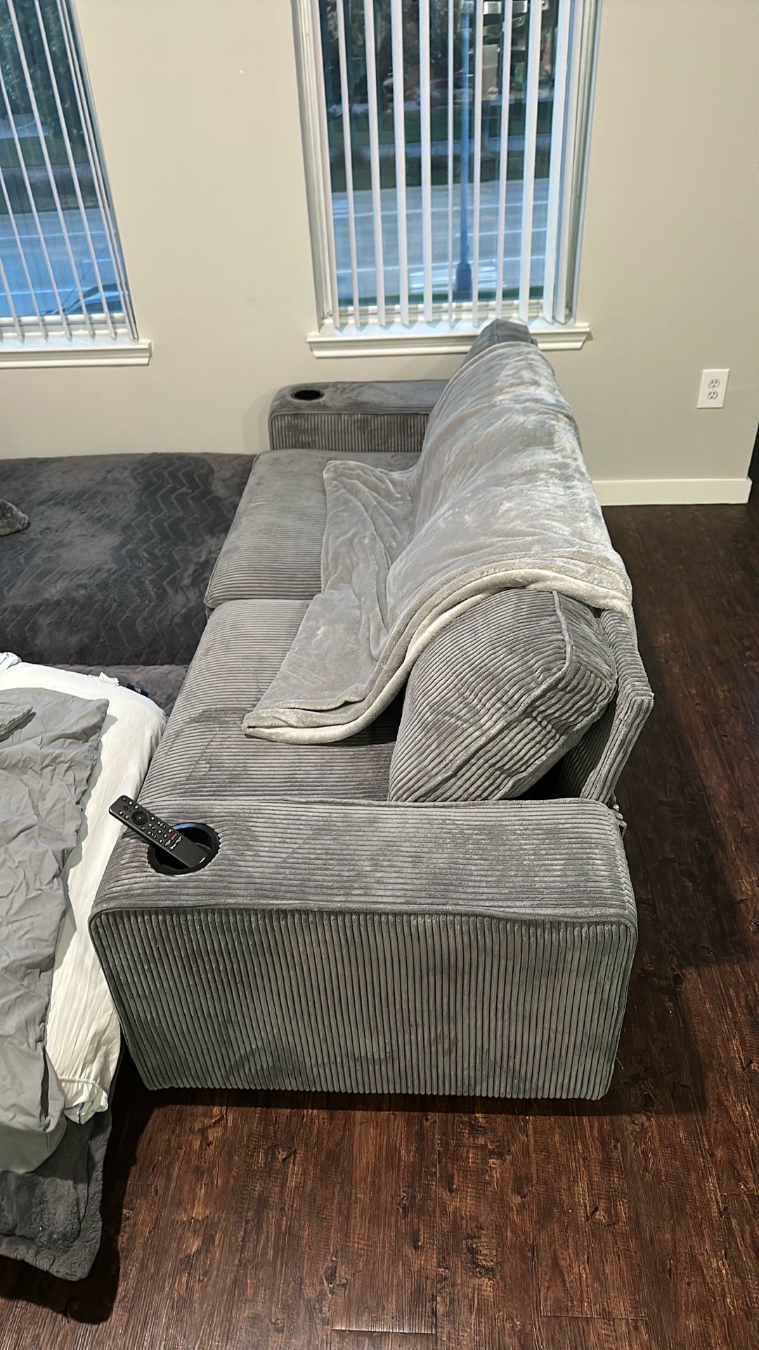 Light gray sofa