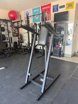 YORK Knee Raise / Ab Station – Commercial Quality