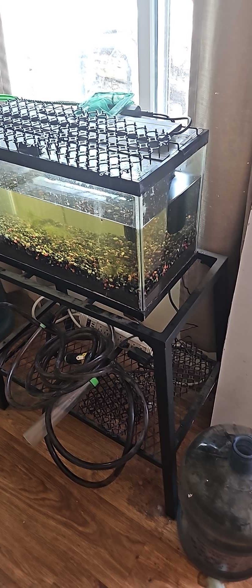 Was A Plants 🪴 Fish Tank 