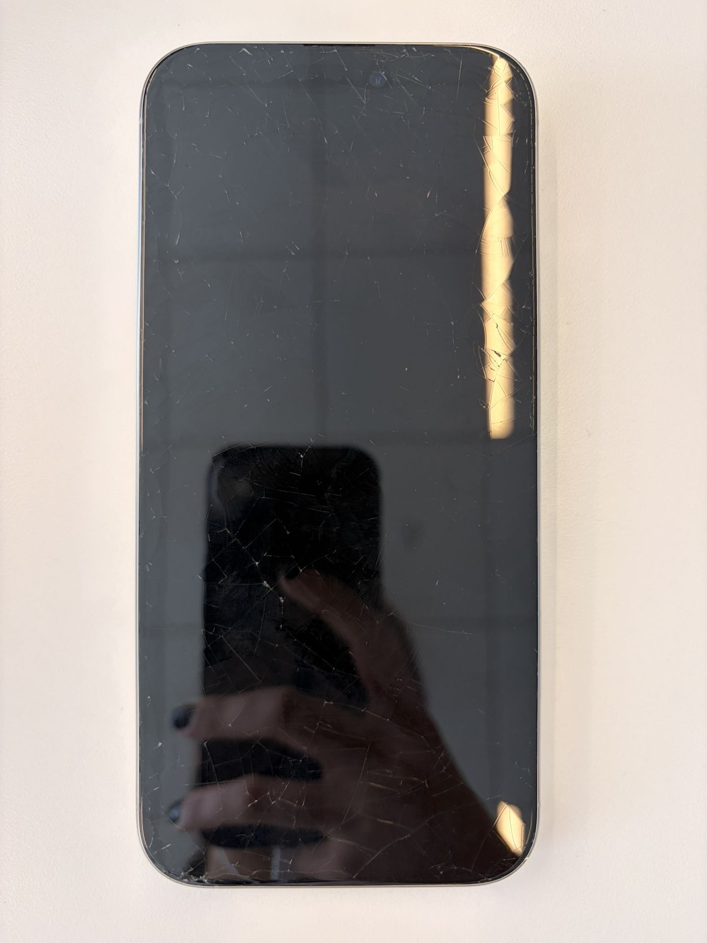 iPhone 16 Pro Max 256 GB Unlocked
