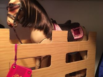 My generation horse