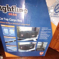 Right line Car Top Cargo Bag