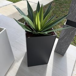 Modern Outdoor Planter with Agave Plant – White or Black