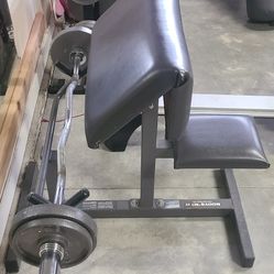 Bicep Curl Station