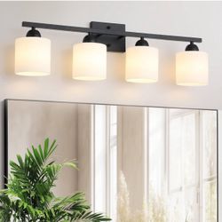 Bathroom Vanity Light