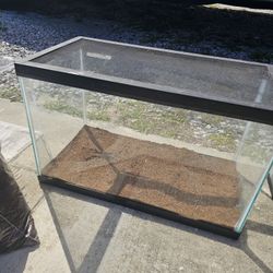 10 Gallon Tank