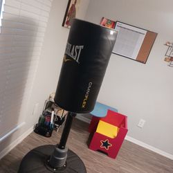 Punching Bag