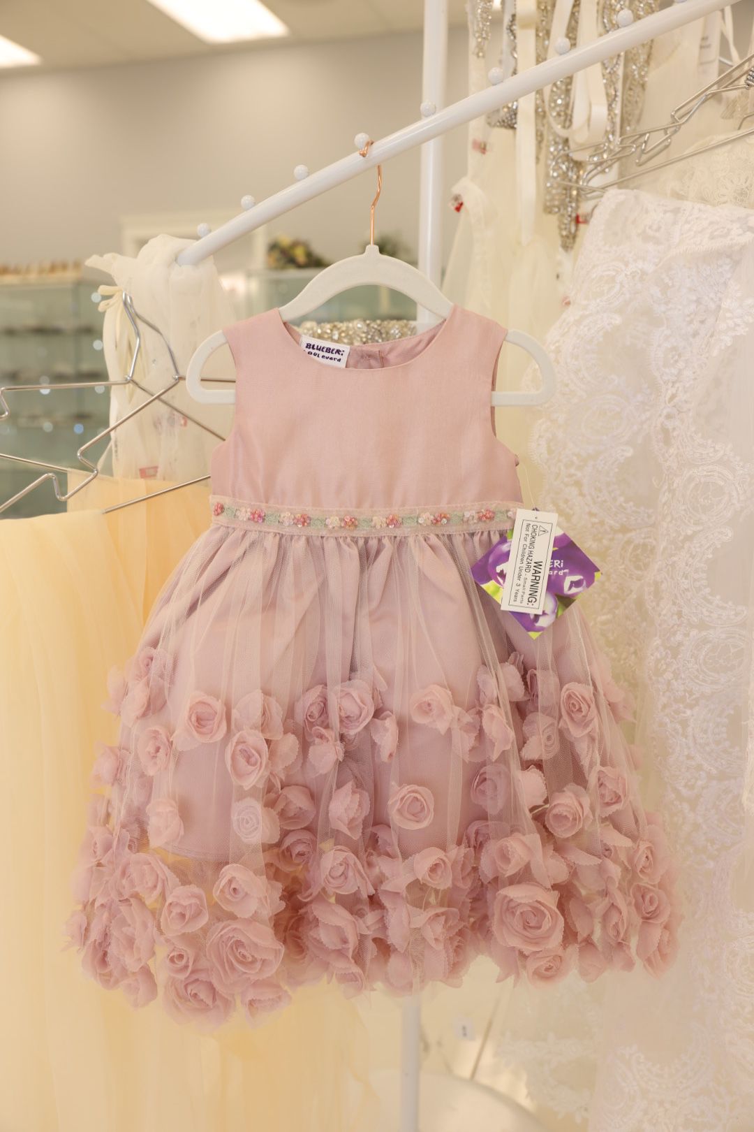Blueberri Boulevard Rose Pink Toddler Dress 2T